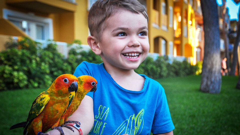 Adopce papouška
